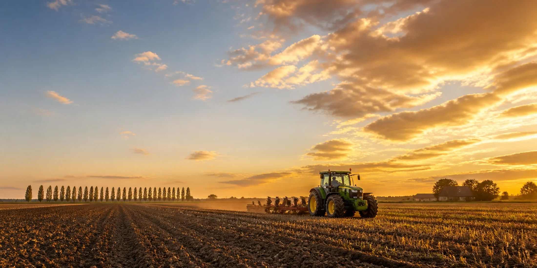 Een trekker ploegt bij avondlicht een groot Nederlands akkerbouwperceel, met een rij populieren aan de horizon